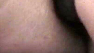 My Wife and Her Goliath